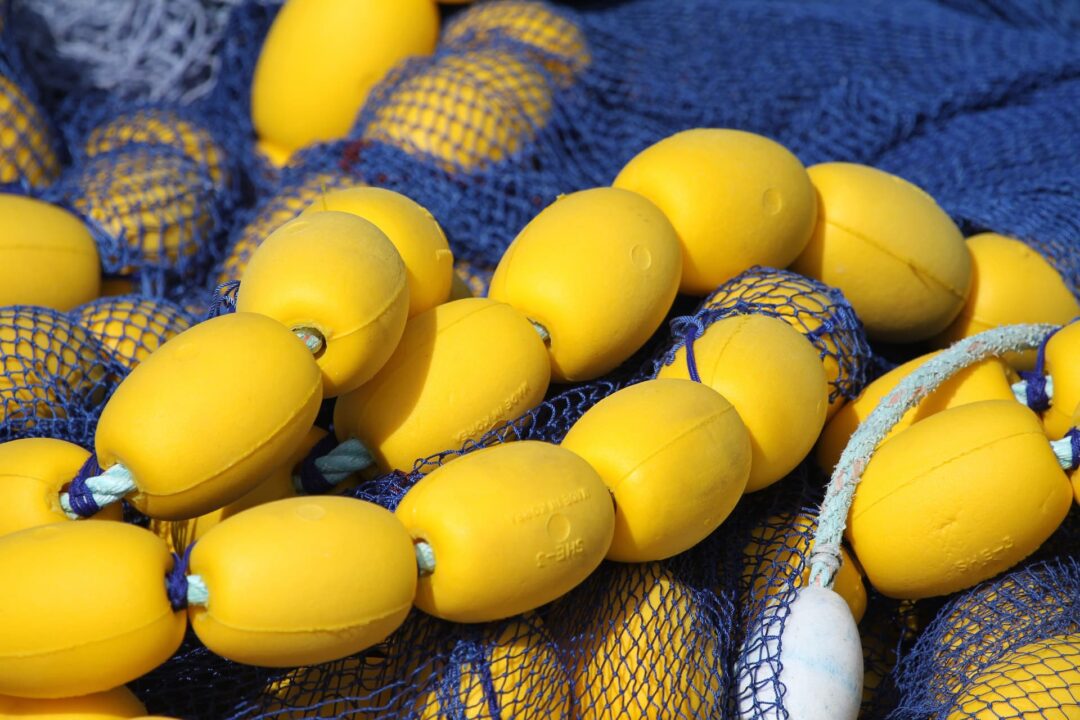 Senne - filet de peche pour sardine et thon - Le Drezen