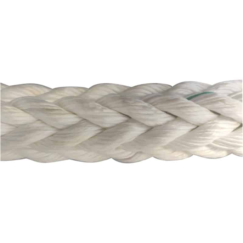 Astraline 12 strands
